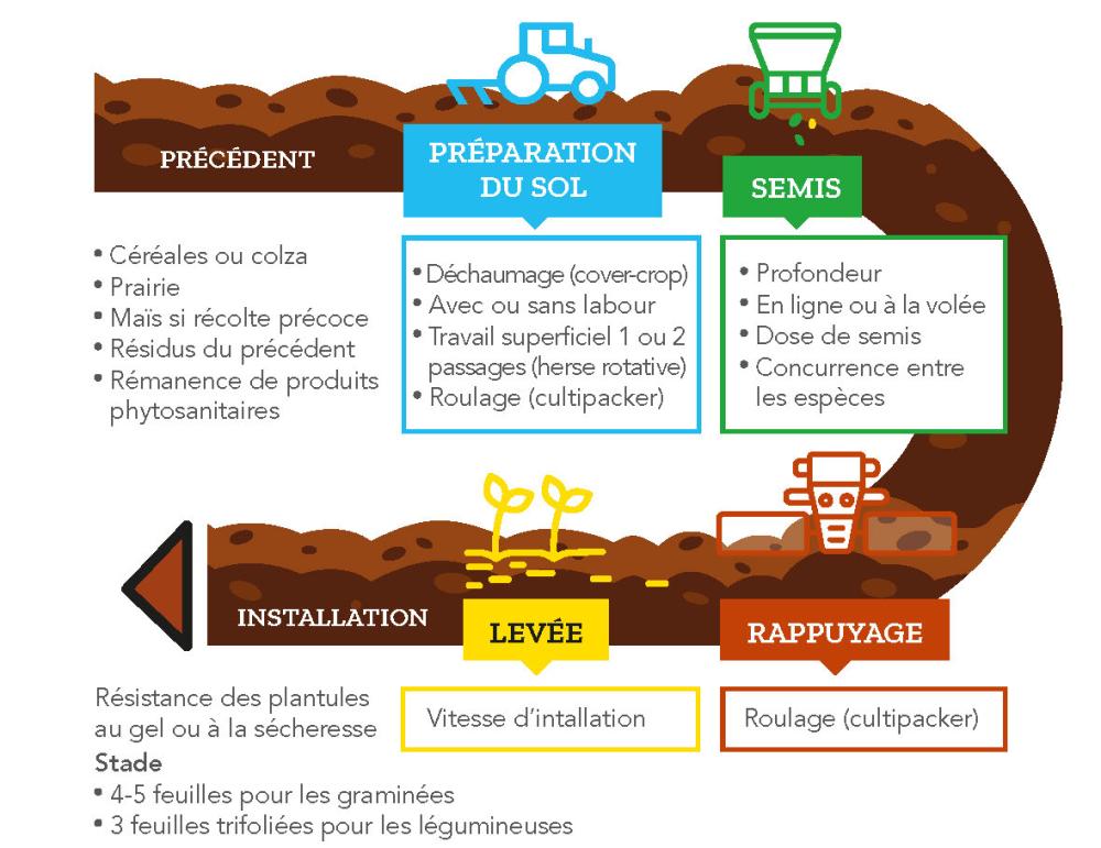 Semis en ligne : explications et technique