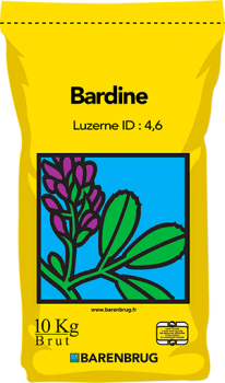 Bardine Yellow Jacket