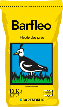 Barfleo