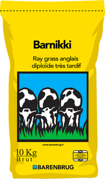 Barnikki