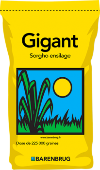 Gigant
