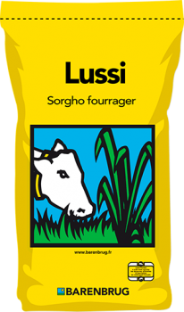 Lussi