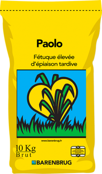 Paolo