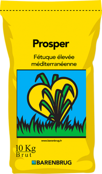 Prosper