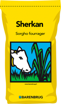 Sherkan