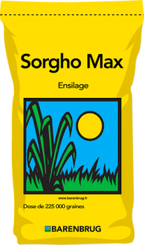 Sorgho Max