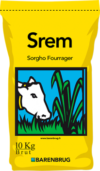 Srem